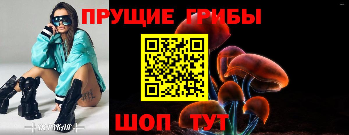 Кызыл  Галлюциногенные грибы MAGIC MUSHROOMS  Галлюциногенные грибы мицелий  Вход с VPN 